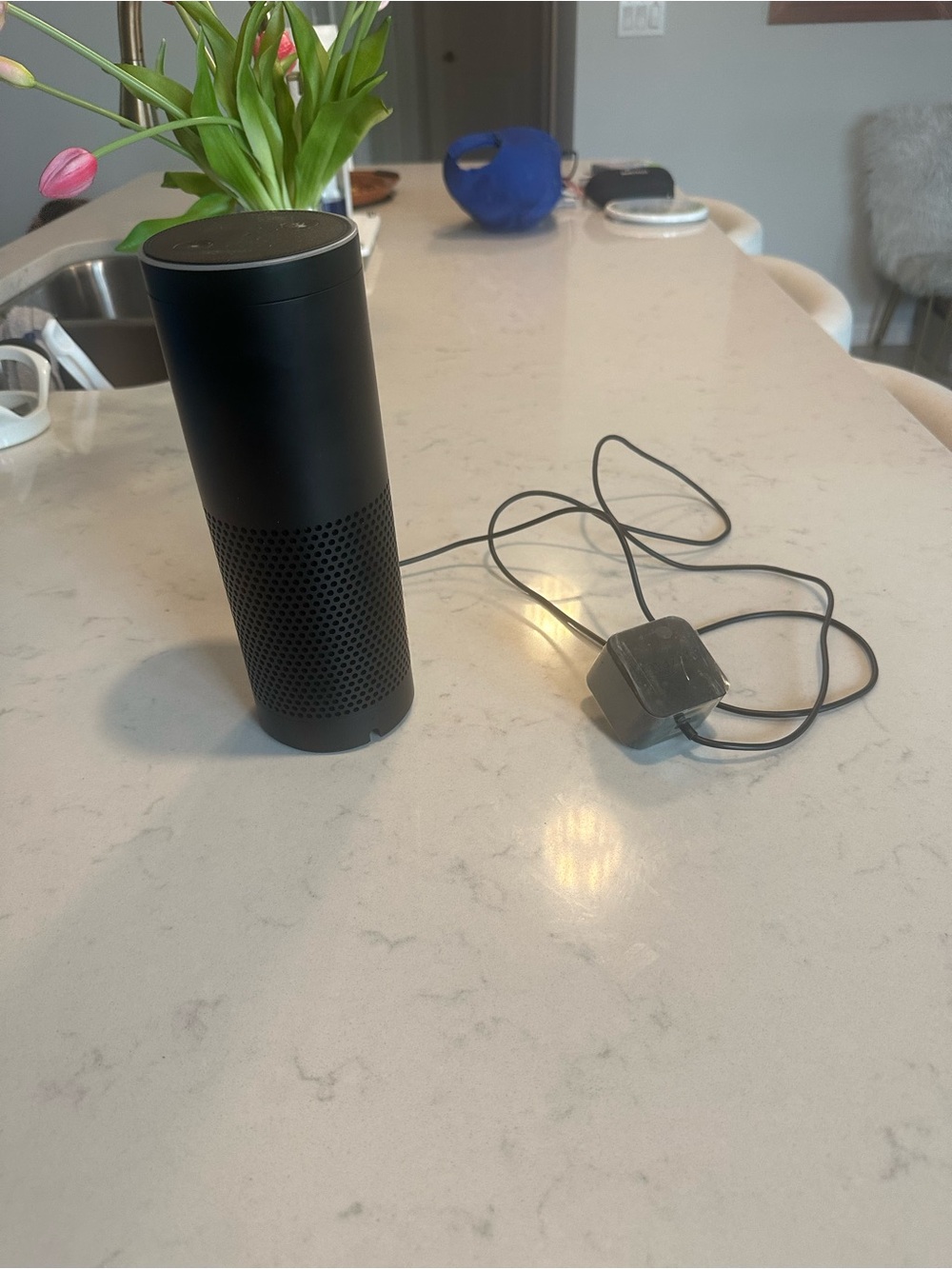 Black Portable Smart Speaker with Power Adapter